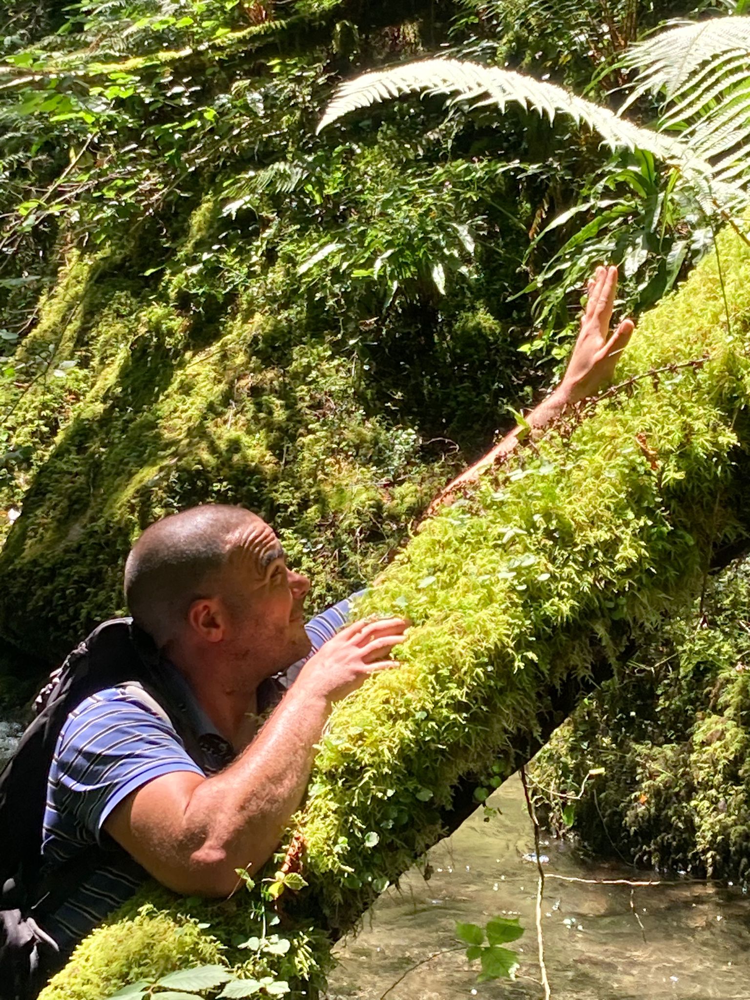 Profil de Laury, 41 ans, Escort Gay Monaco à Saint-Hippolyte-du-Fort