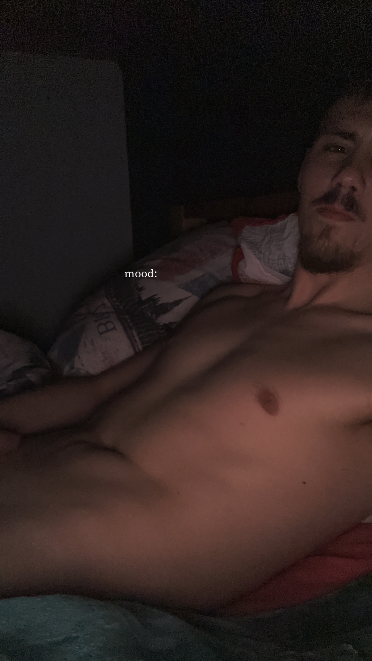 Profil de Malou, 24 ans, Escort Gay Monaco à Pardailhan